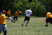 OTFL Gallery Image